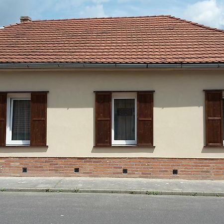 Reka Vendeghaz Hotel Tokaj Bagian luar foto