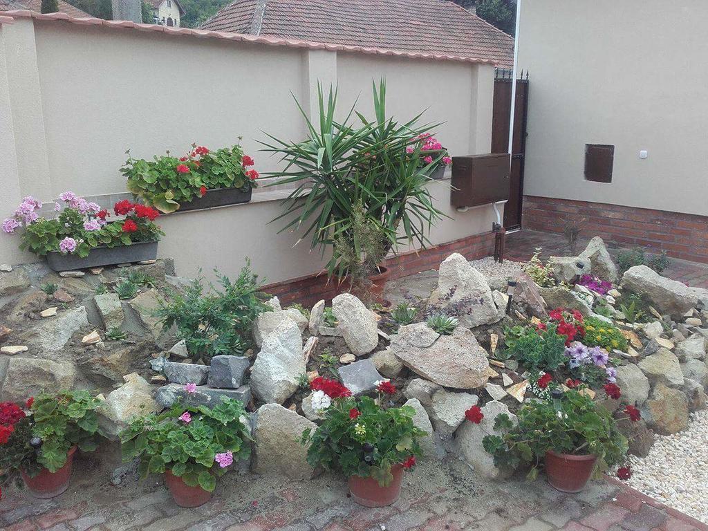 Reka Vendeghaz Hotel Tokaj Bagian luar foto